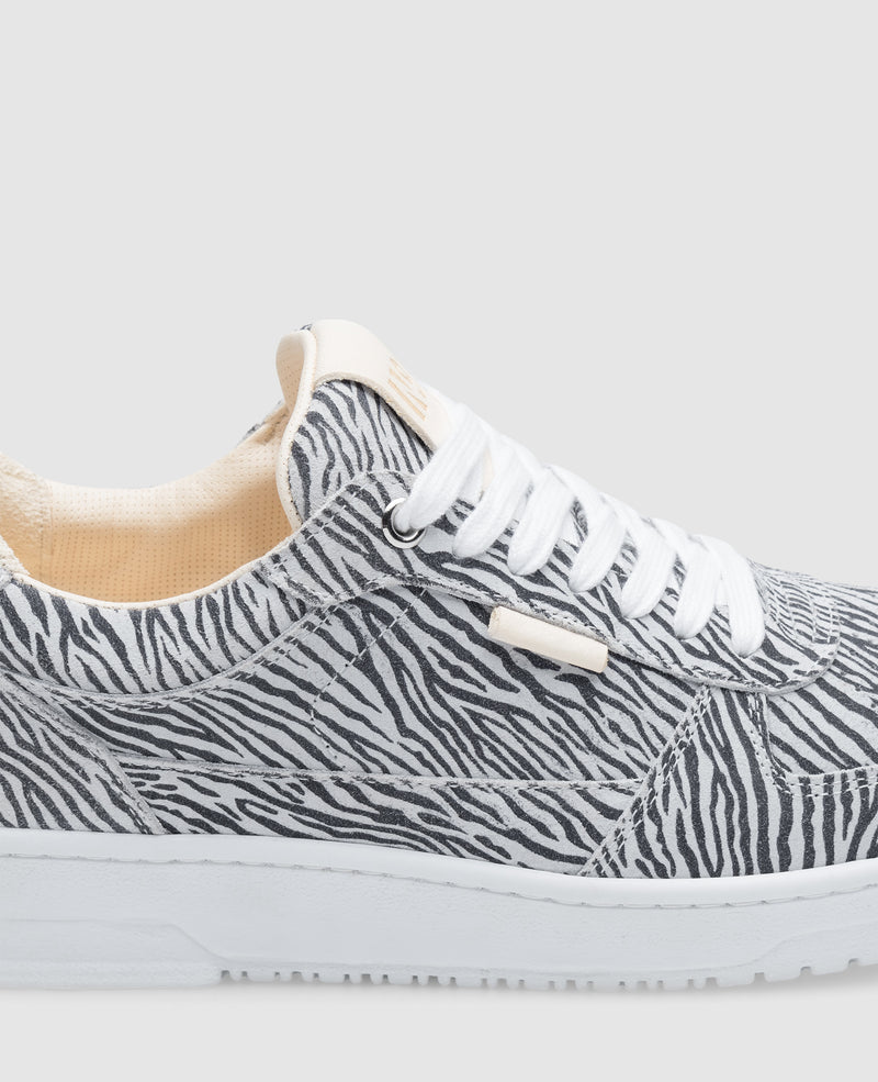 Bball Bball M AA Sneaker in Zebra - N91