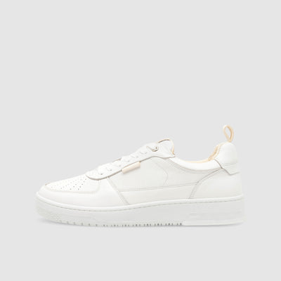 Basketball Collection